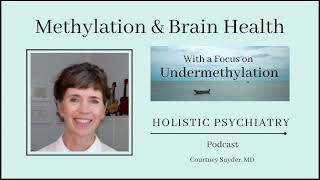 Methylation amp Brain Health With a Focus on Undermethylation [upl. by Norda]