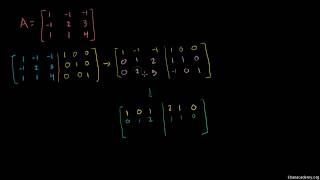 Dividing Decimals  5th Grade Math [upl. by Buskirk]