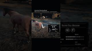 RDR2 • All Thoroughbred Horse Colors and Locations • Red Dead Redemption 2 [upl. by Palila840]