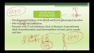 15 General Pathology Class 2024 Primary Immunodeficiencies 1 [upl. by Ecire]