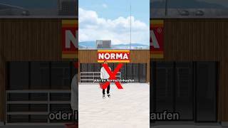 Nie wieder im Norma einkaufen [upl. by Siuqcram302]