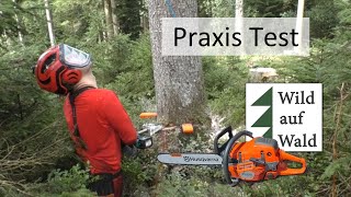 🌲EXTREM Test 4x Fichten Fällung Rückhänger mit Makita und Forstreich wildaufwald [upl. by Akeemaj]