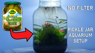 PICKLE JAR AQUARIUM  no filter no heater walstad method setup [upl. by Donegan653]