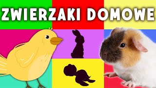 🐹 🐤 🐱 Zwierzęta domowe 🐢🐕 🐠 Zgaduj razem z nami  Zagadki dla dzieci [upl. by Aihtenak]