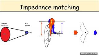 IMPEDANCE MATCHING [upl. by Lagiba404]