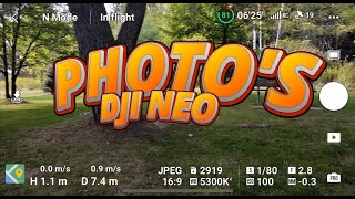 DJI NEO Taking Photos letsfly djineo photography rcn3 [upl. by Etnauj25]