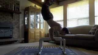 CHEST Pt 3 Advanced Bodyweight Exercises [upl. by Ellon]