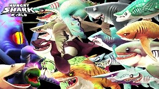 Hungry Shark World  All Sharks vs Colossal Squid BOSS🦑🦑🦑 [upl. by Aibos]