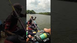 Drag Clicker Sound on Okuma Komodo SS KDS 364 LX shorts [upl. by Lenox370]