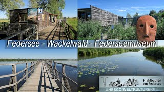 Federsee bei Bad Buchau  Wackelwald  Federseemuseum [upl. by Tfat]