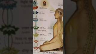 Root Chakra Yoga Activate Muladhara Chakra to Begin Spiritual Journey [upl. by Aidaas]