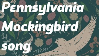 Pennsylvania Mockingbird song [upl. by Aimal551]