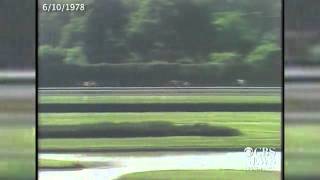 Watch Affirmed completes the Triple Crown in 1978 [upl. by Guillermo]