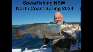 Spearfishing NSW North Coast Spring 2024 [upl. by Cerelia881]