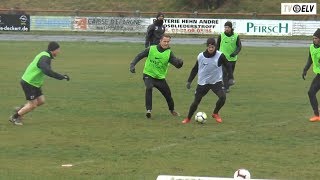 TV Elv  Pressekonferenz  SV Elversberg vs TSG Hoffenheim II  160319 [upl. by Nero931]