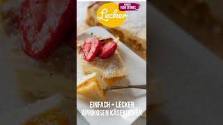 Aprikosen Käsekuchen  so lecker und so einfach  tolles Sommerkuchen Rezept [upl. by Rama]