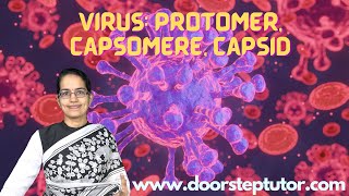 Virus Protomer Capsomere CapsidWhy Vaccine are Loosing EfficacyIs it Mutation Science is Here [upl. by Spatola631]