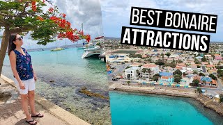 Bonaire Travel Guide  The Best Things to See and Do in Bonaire [upl. by Hourigan694]