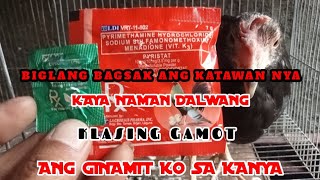 DALWANG KLASING GAMOT GINAMIT KO SA ALAGA KONG MANOK [upl. by Ahse]