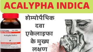 Acalypha indica homeopathic medicine  guiding symptoms of acalypha indica  materia medica [upl. by Aidekal316]