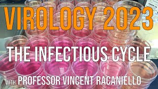 Virology Lectures 2023 2 The Infectious Cycle [upl. by Eirdua615]