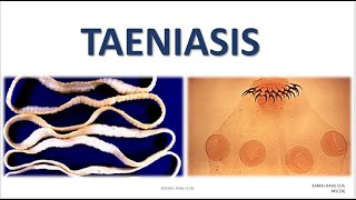 TENIASIS [upl. by Ibot]