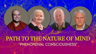 Phenomenal Consciousness The Path to the Nature of Mind [upl. by Elnukeda886]