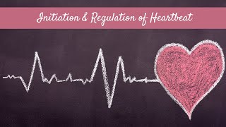 Initiation amp Regulation of Heartbeat PreU Biology  STPMMatriculationALevels [upl. by Daberath550]