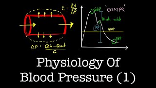 Physiology of Blood Pressure Part 1  The Basics  The Pacemaker [upl. by Lehplar]