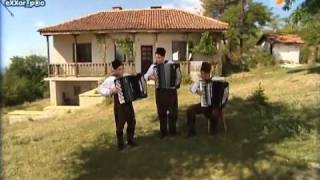 Super Mario Theme Song by accordion  Made In Bulgaria [upl. by Enneite780]