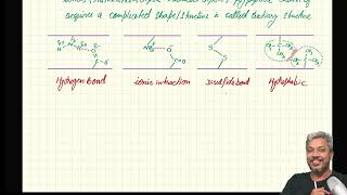 A2 Organic Amino AcidZwitterionElectrophoresis lecture 2 [upl. by Suivat]