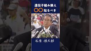 【遺伝子組み換え〇〇貼るべき】 「『TPPの影響』政治 石原慎太郎 都知事 警告 政治家 安全保障 政治 添加物 [upl. by Claresta]