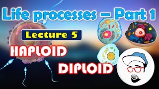 Haploid VS Diploid  Life processes in Living Organisms Part 1 Class 10 SSC CBSE [upl. by Aras]