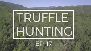 Truffle hunting Croatia [upl. by Geralda]