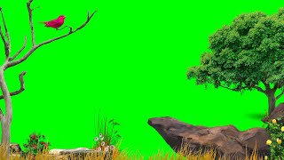 Nature Green Screen  Jungle Green Screen  Background Video Effects hd  Green Screen Effects [upl. by Darreg]