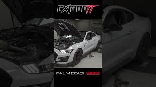 CX1300TT 951 Horsepower on 93 Octane PalmBeachDyno CX1300TT ShelbyGT500 TwinTurbo hellion [upl. by Haroppiz]