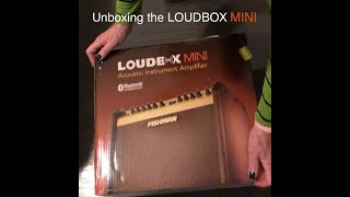 Unboxing the Fishman LOUDBOX MINI [upl. by Eisele]