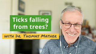 Do Ticks Fall from Trees Dr Mather Reveals the Facts [upl. by Bowerman]