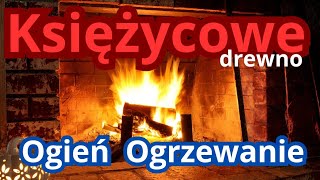 Energia Off Grid mgr inż Dorota szuka drewna księżycowego znasz kogoś wiesz coś [upl. by Codel]