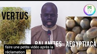 vertus du Balanites Aegyptiaca  SOUMP par pr Ousmane ndiaye [upl. by Earlene]