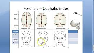 Forensic 040 a Cephalic Index Dolichocephalic MesatiCephalic Indians Brachycephalic [upl. by Scuram690]