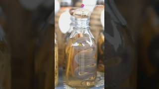 How Snake Antivenom is Made 🐍 Antivenom SnakeBites ScienceInAction VenomExtraction Lifesaving [upl. by Wawro]