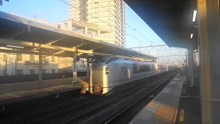 稲毛駅を通過するE259系（成田エクスプレス）12両 [upl. by Barcellona224]