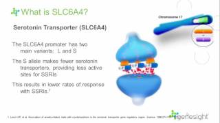 Interpreting the GeneSight Psychotropic Test [upl. by Land]