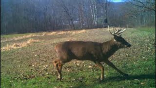 Pa Rifle Deer Season 2022 Pennsylvania Day 1 amp 2 [upl. by Dick969]