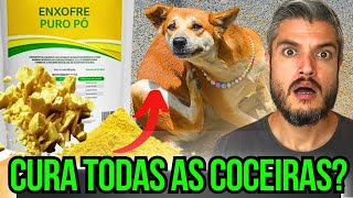 REMÉDIO MAIS BARATO CURA COCEIRAS E DERMATITE DO CACHORRO EM CASA TRATAR SARNA DOS CÃES COM ENXOFRE [upl. by Lemahs]