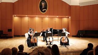 J Haydn  Divertimento D Major Cello Trio [upl. by Emera]