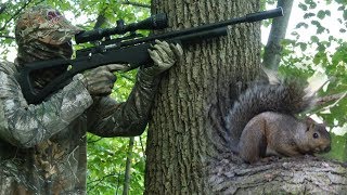 Airgun HuntingHow to Hunt Squirrels with an Air Rifle [upl. by Becky]