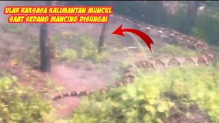 Detikdetik Pemancing Merekam Penampakan Ular Raksasa Kalimantan Di Sungai  Ular Kalimantan [upl. by Kolosick]