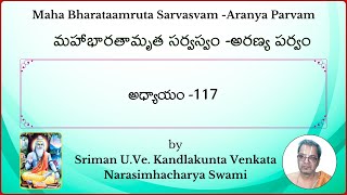 MahaBharatam Aranya Parvam Ch117 by Kandlakunta Venkata Narasimhacharya swami [upl. by Acinorej44]